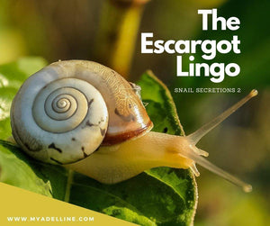 Filtrate for secretion of snails 2: Lingo Escargot